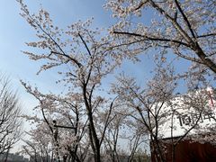 -龙美术馆(西岸馆)