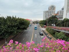 -厦门大学(思明校区)