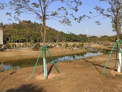-东莞植物园