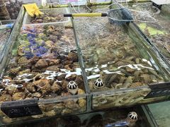 -南戴河海滨市场