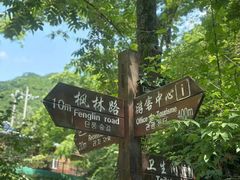 -天女山森林公园