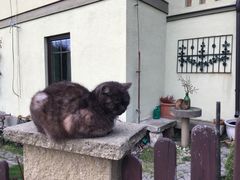 -捷克克鲁姆洛夫城堡