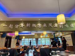 -新概念来凤鱼(璧山店)