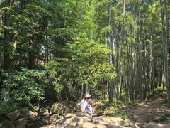 -莫干山风景区