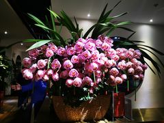 -荷风细雨·中国茶宴(碧云店)