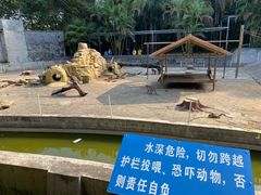 -广东茂名森林公园