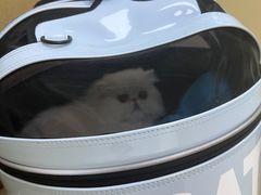-美联众合动物医院·24h转诊中心
