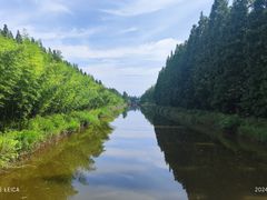 -黄海国家森林公园