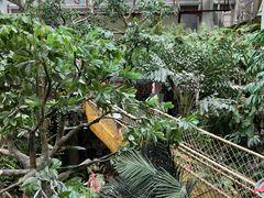 -正佳雨林生态植物园