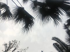 -鱼凫国都大酒店温泉