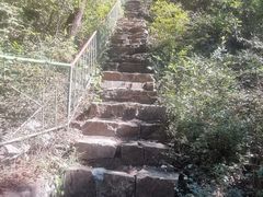 -老象峰