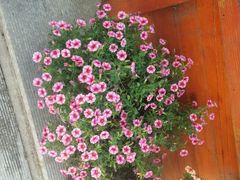 android_upload_pic-清悦酒吧咖啡馆