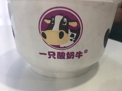 -一只酸奶牛(东方广场店)