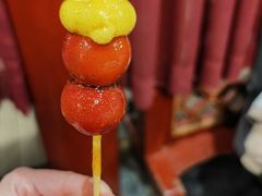 -羲和雅苑•北京烤鸭(平安国际金融中心店)