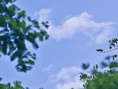 -白水寺森林公园