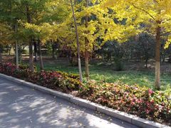 -长白岛森林公园