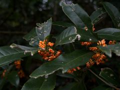 -宁波市保国寺古建筑博物馆