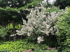 -初蓉丨遇见新川菜(亲贤街荣耀店)