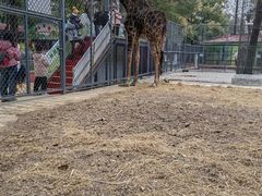 -荆州中山公园动物园