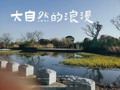 -苏州太湖国家湿地公园
