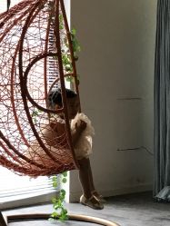 -星宝贝儿童摄影