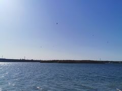 -丁香湖公园