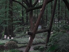 -忠山公园