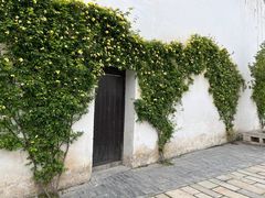 -青果巷历史文化街区