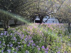 -浙江大学(紫金港校区)