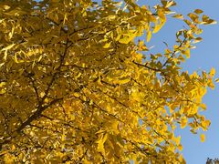 -苏州河梦清园环保主题公园