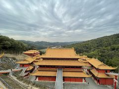 -东莞市大岭山森林公园