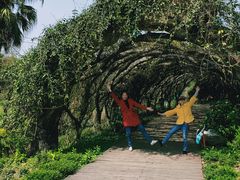 -广西壮族自治区药用植物园