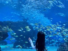 -海合安成都极地海洋公园