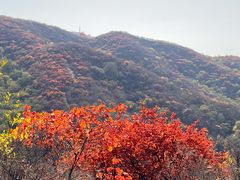 -北京西山国家森林公园