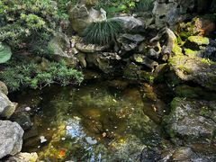 -上海醉白池公园