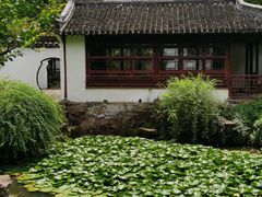 -上海醉白池公园