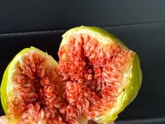 -老烟台灌汤包(南洪街店)
