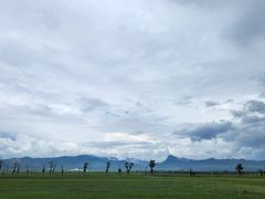-敕勒川草原