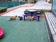 -北京西山国家森林公园