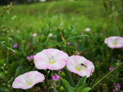 -青岛第三海水浴场