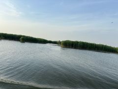 -白洋淀景区