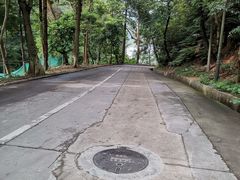-火炉山森林公园