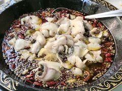 -金三可市井水煮鱼(金碧园店)