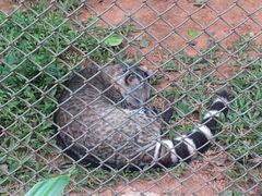 -广东茂名森林公园