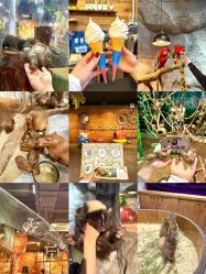 -Zoolung Zoolung动物主题公园(海信广场店)