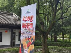 -上海佘山国家森林公园天马山园