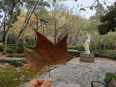 -蠡湖中央公园