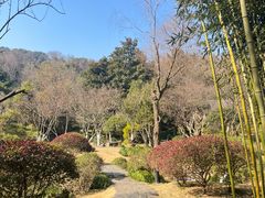 -龙井草堂