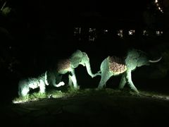 -西双版纳融创皇冠假日度假酒店