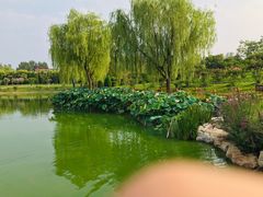 -燕郊植物园